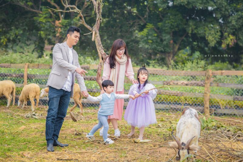 Ảnh gia đình hạnh phúc, đẹp nhất
