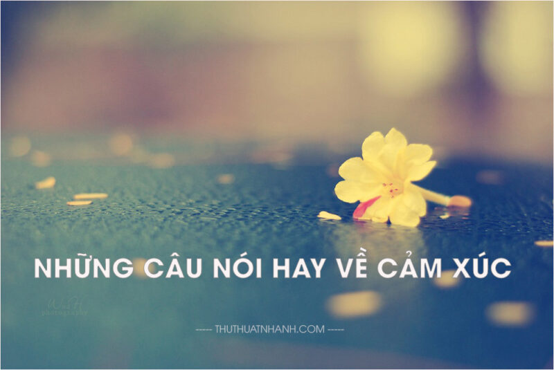Những câu nói hay về cảm xúc