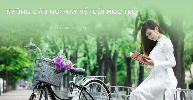 Những câu nói hay về tuổi học trò