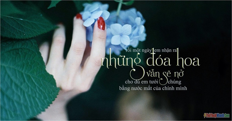 Stt – Những câu nói hay về triết lý sống trong tình yêu