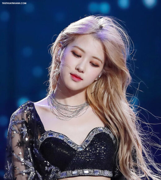 Hình ảnh Rose Black Pink