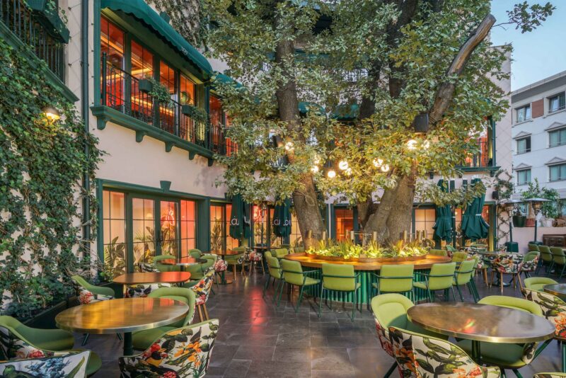 Hình ảnh quán cafe đẹp cây xanh phủ kín