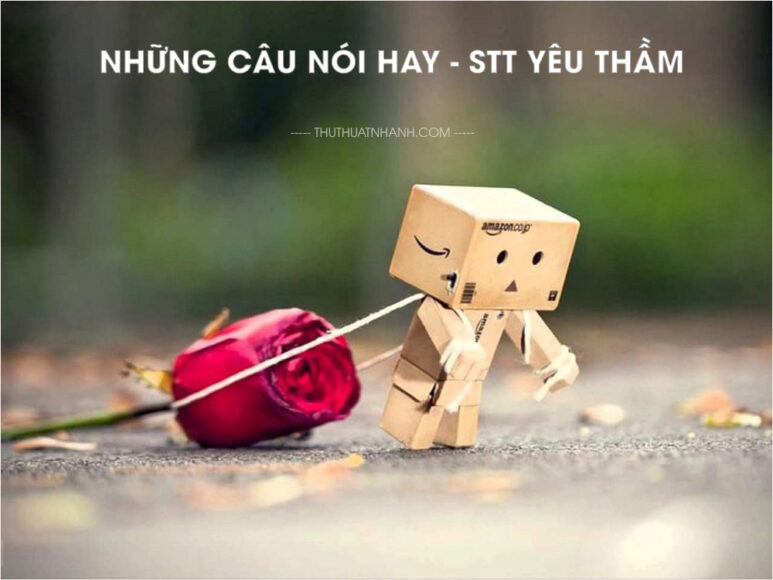 Những câu nói hay - Stt yêu thầm