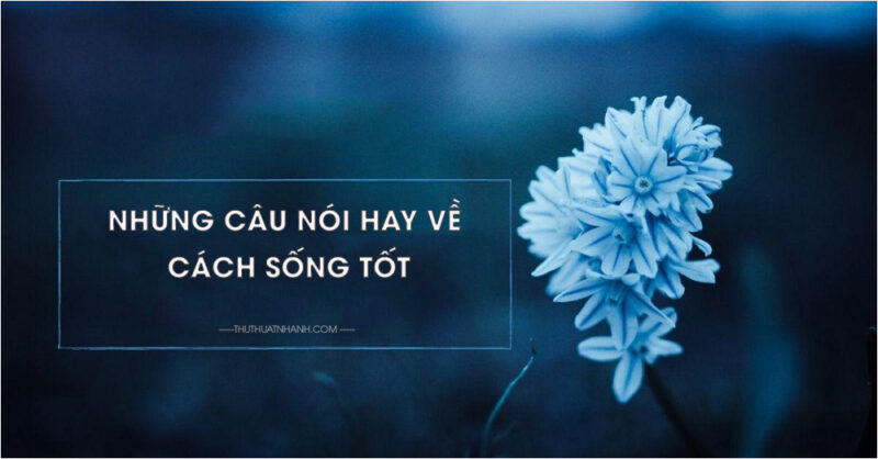 Những câu nói hay về cách sống tốt