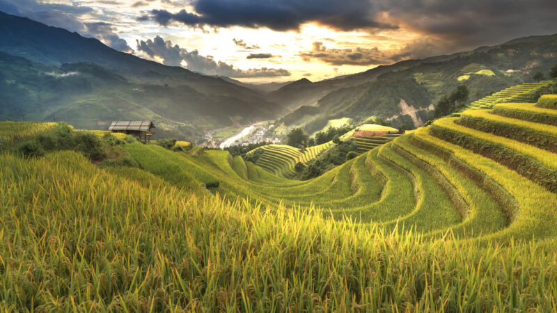 hình ảnh ruộng bậc thang sapa