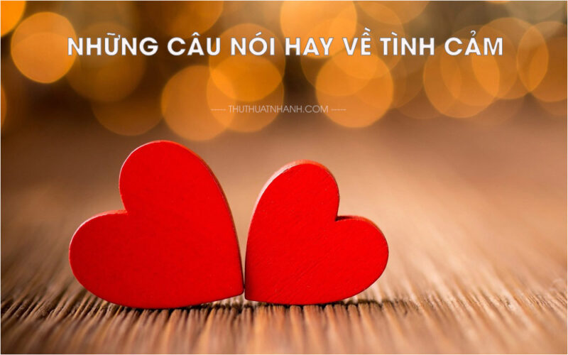 những câu nói hay về tình cảm
