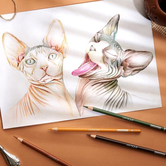 Hình vẽ mèo như thật