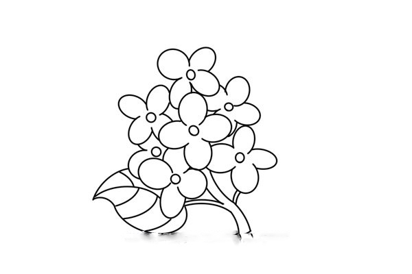 cách vẽ hoa tử đinh hương bước 4