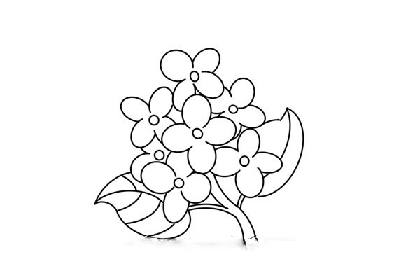 cách vẽ hoa tử đinh hương bước 5