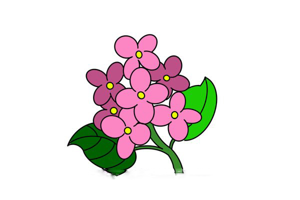 cách vẽ hoa tử đinh hương bước 6