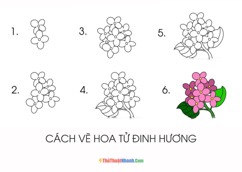 cách vẽ hoa tử đinh hương đẹp đơn giản