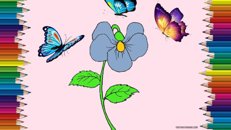 cách vẽ hoa violet (xanh)