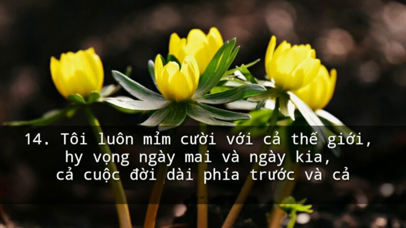 stt hay về cuộc sống ý nghĩa