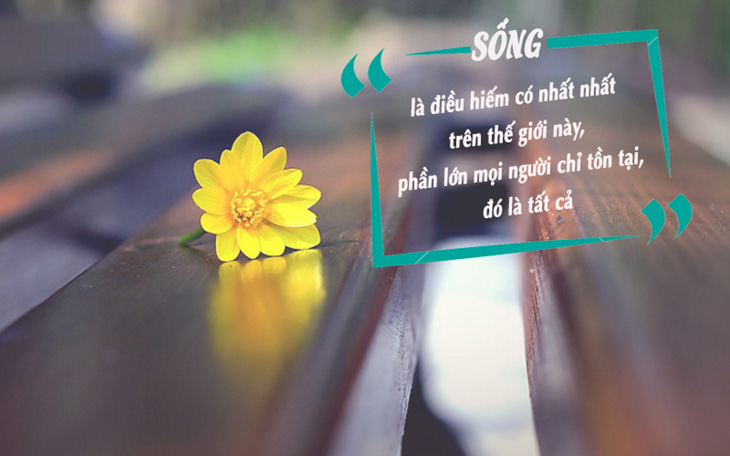stt hay về cuộc sống