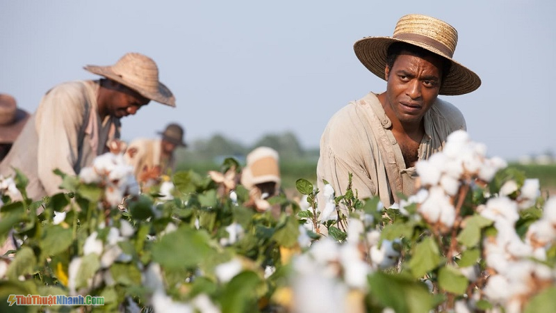12 Năm Nô Lệ - 12 Years A Slave (2013)