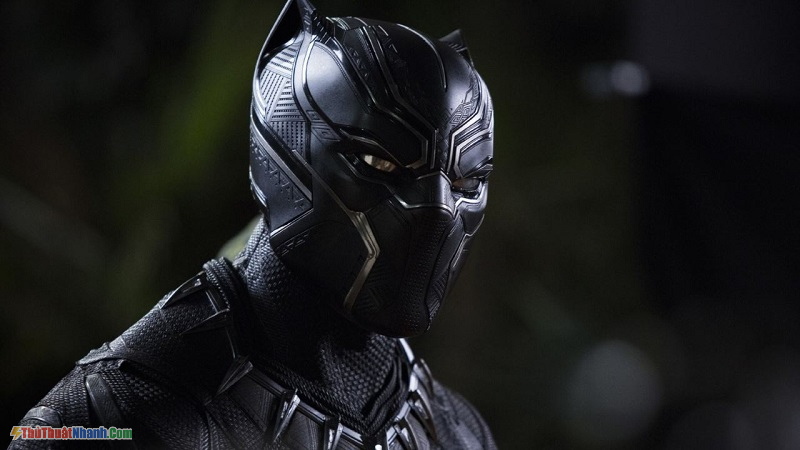 Black Panther - Chiến binh báo đen