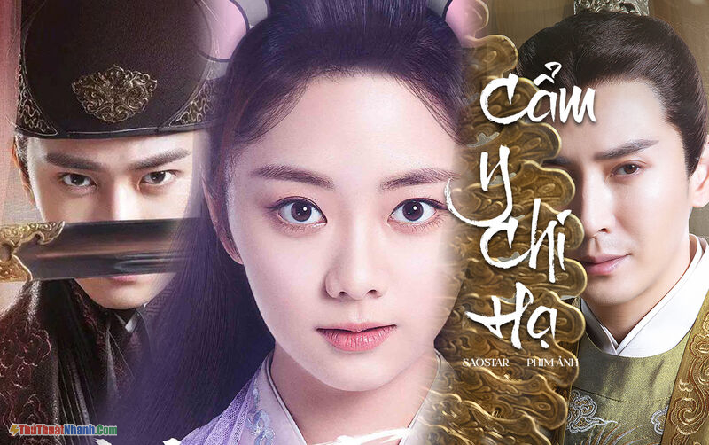 Cẩm Y Chi Hạ (2019)