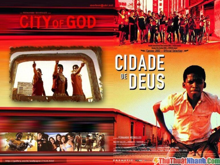 top phim IMDB Thành phố của chúa