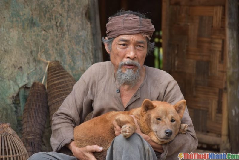 16. Phim chiếu rạp 2021 - Cậu Vàng.