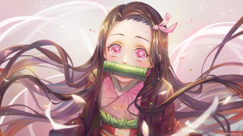 Hình ảnh Nezuko - em gái quốc dân siêu đẹp, siêu đáng yêu