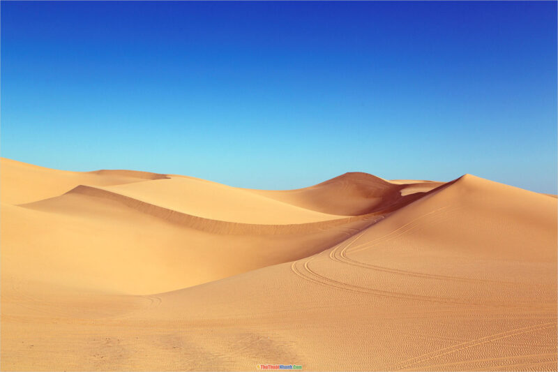 background phong cảnh