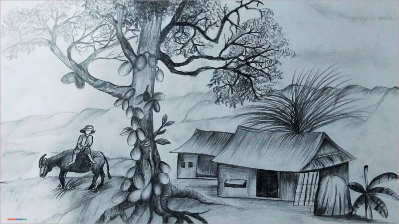 Vẽ tranh đen trắng