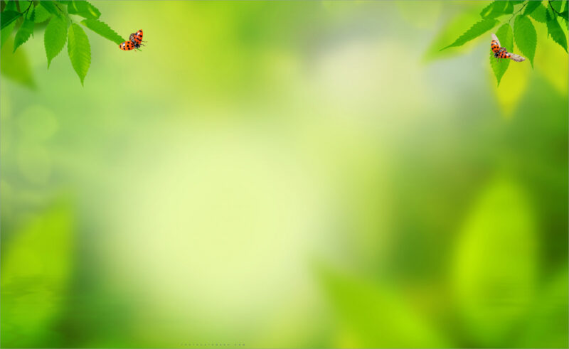 Background xanh lá