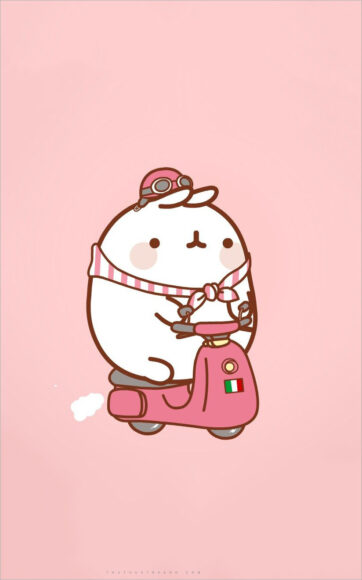 Hình nền Thỏ