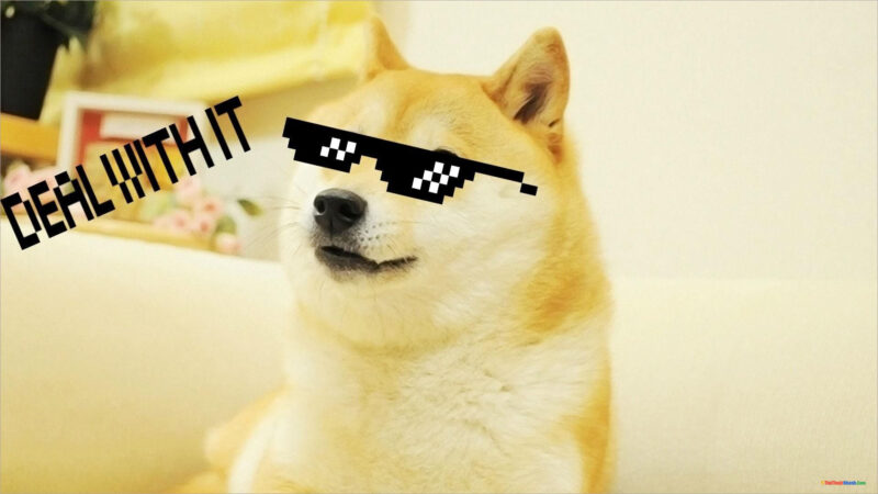 Ảnh meme cheems