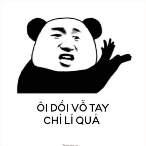 Ảnh meme gấu trúc