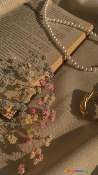 Ảnh vintage