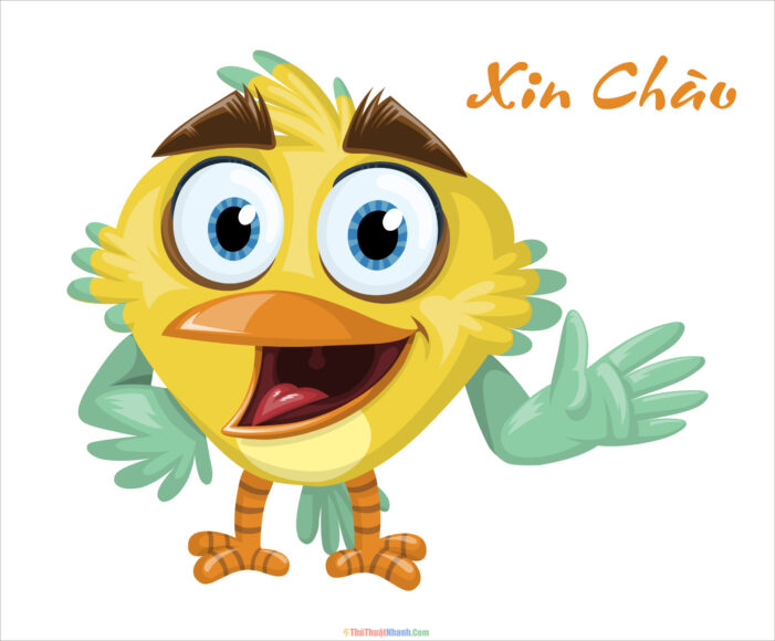 Ảnh xin chào