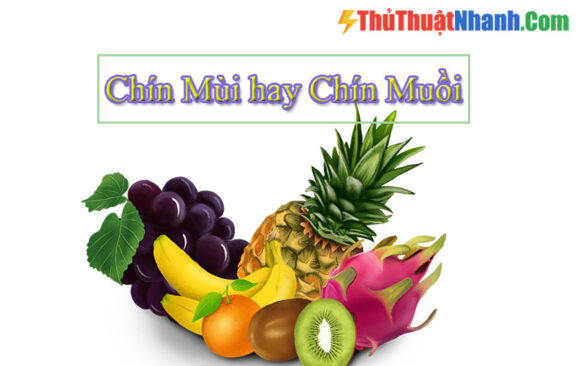 Chín mùi hay chín muồi