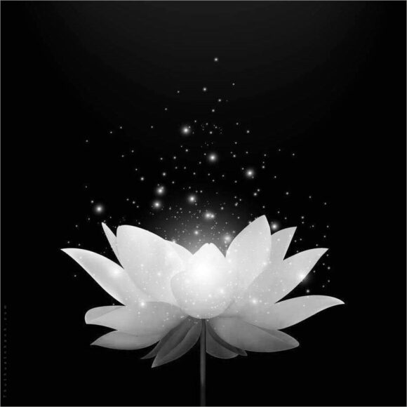 Hình ảnh avatar đen