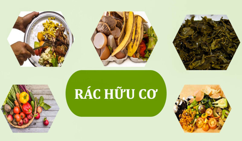 Rác thải hữu cơ là gì