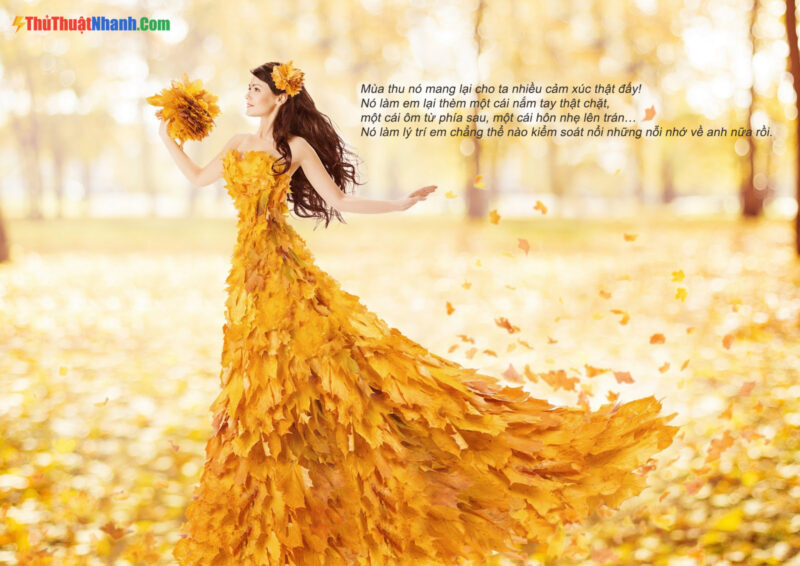 Stt hay về mùa thu