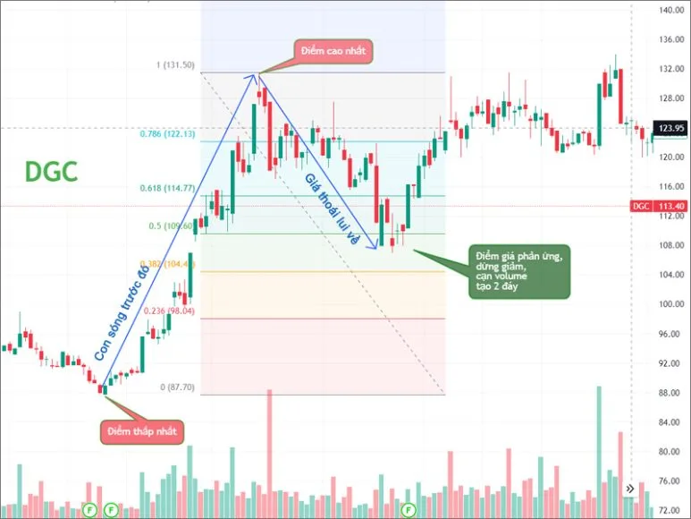 Cách Vẽ Và Ứng Dụng Fibonacci Thoái Lui trong phân tích kỹ thuật