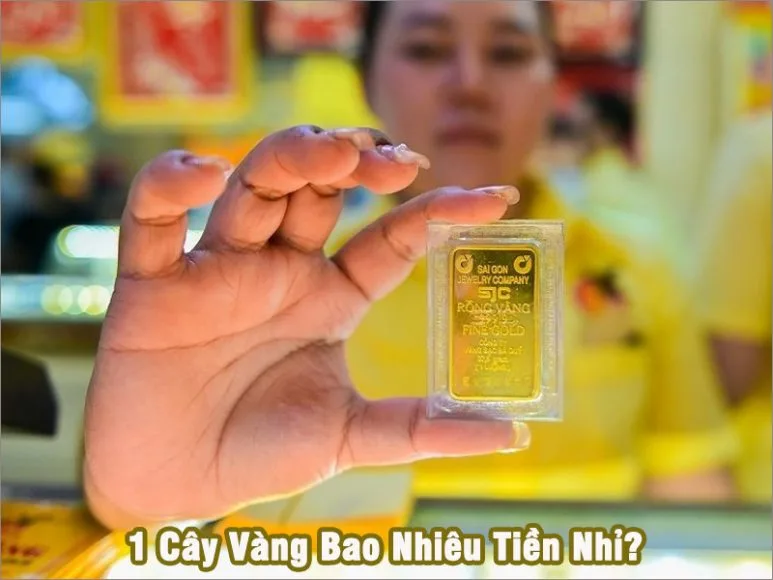 1 Cây Vàng Bao Nhiêu Tiền