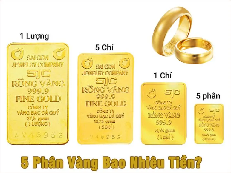 5 Phân Vàng Bao Nhiêu Tiền