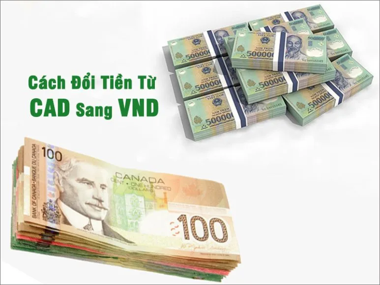 Cách Đổi Tiền Từ CAD Sang VND