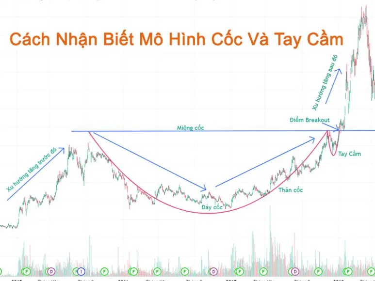 Cách Nhận Biết Mô Hình Cốc Và Tay Cầm