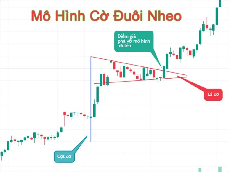 Mô Hình Cờ Đuôi Nheo