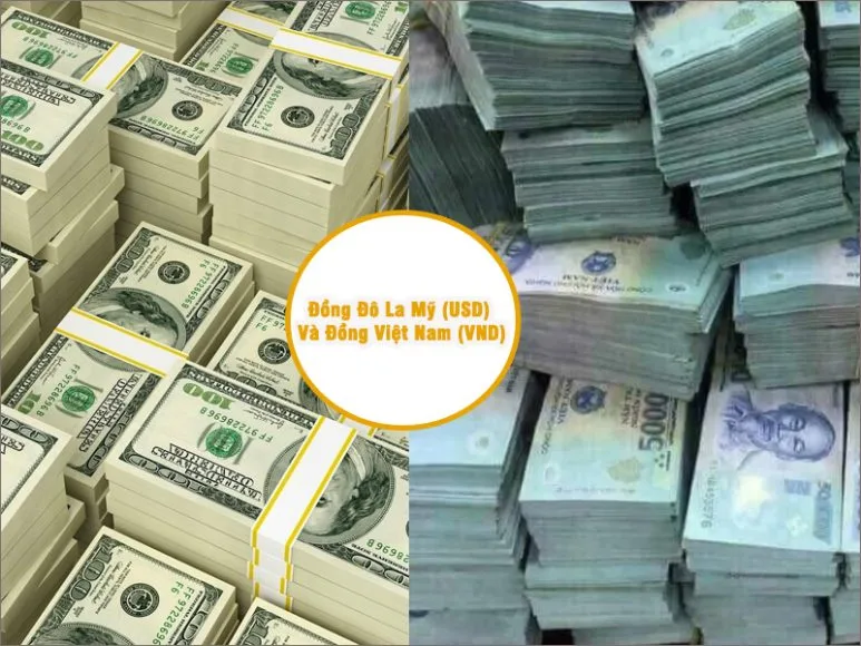 Tổng Quan Về Đồng Đô La Mỹ (USD) Và Đồng Việt Nam (VND)