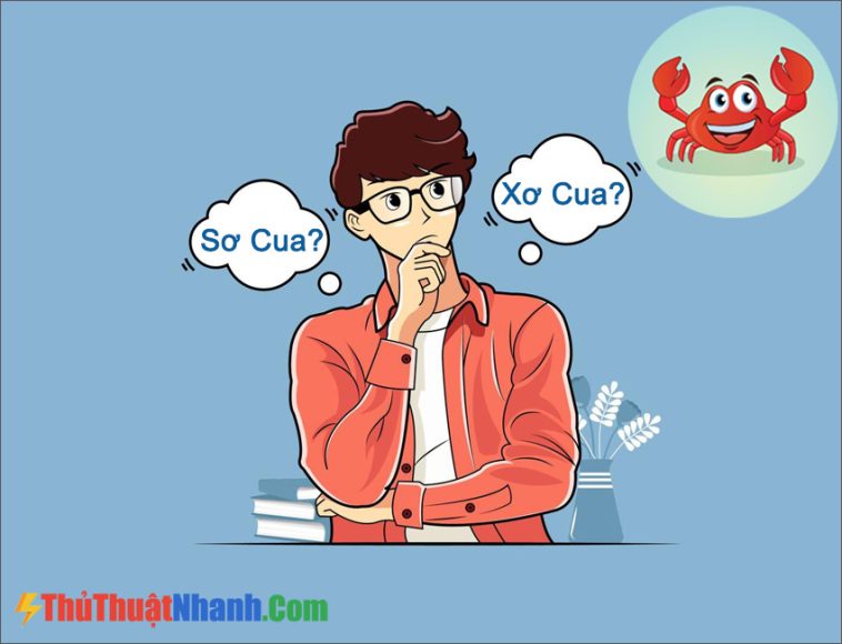 Sơ Cua hay Xơ Cua